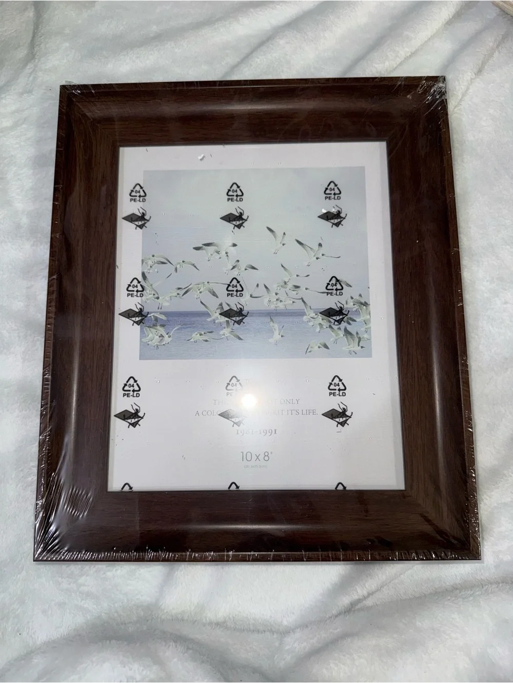 Classic Dark Brown Wood Picture Frame - 10x8